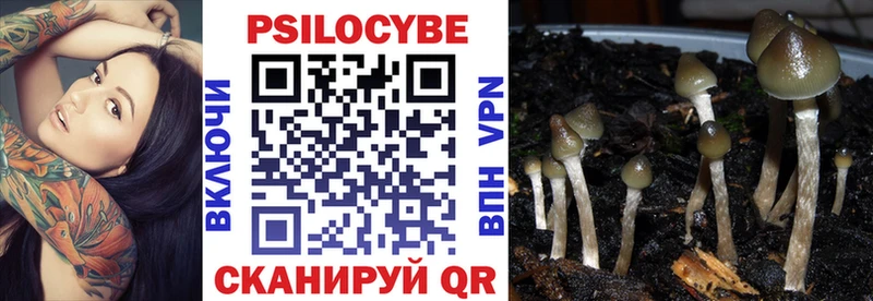 Галлюциногенные грибы GOLDEN TEACHER  Александровское 